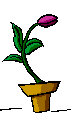 AG00402_10