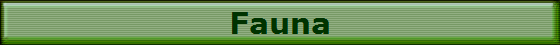 Fauna