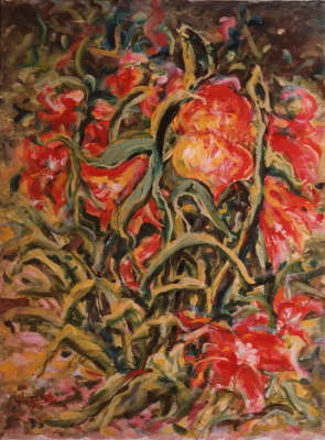 Amaryllis, The Christmas Flower