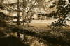 Whippoorwill Hollow House & Creek