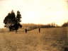 Harold Meacham Farm