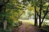 Road to Paradise